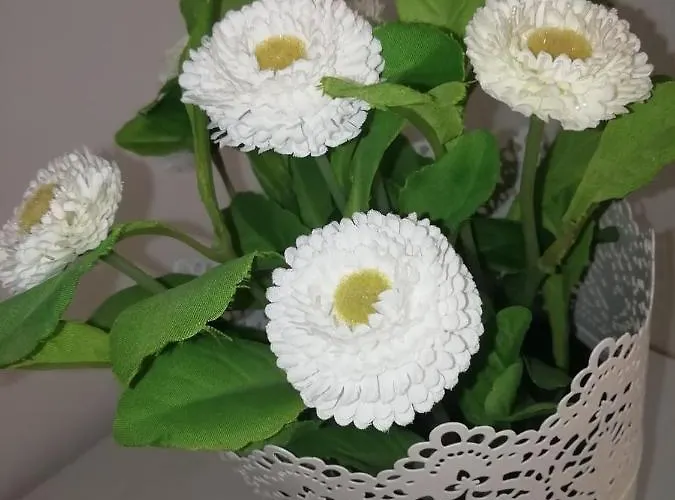 בית הארחה Roma